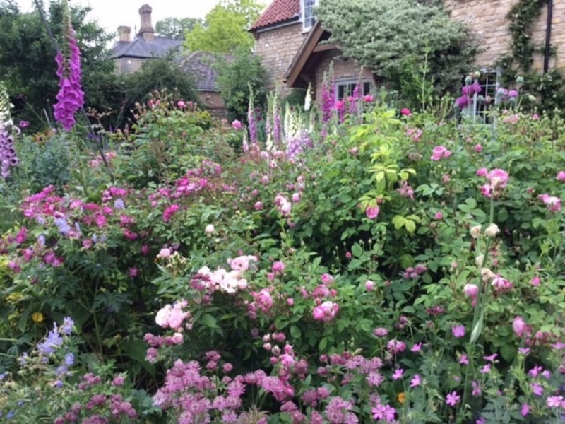 Walnut Tree Cottage